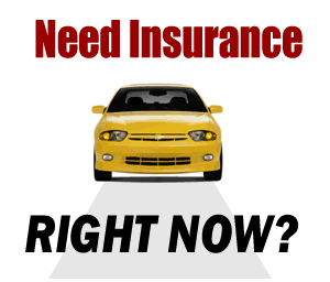 Top Best Car Insurance Quotes 2021